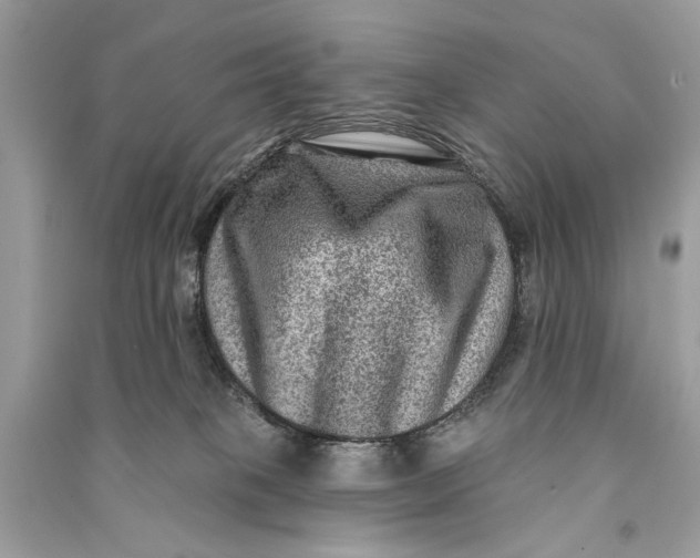 X0000090730085200708101649