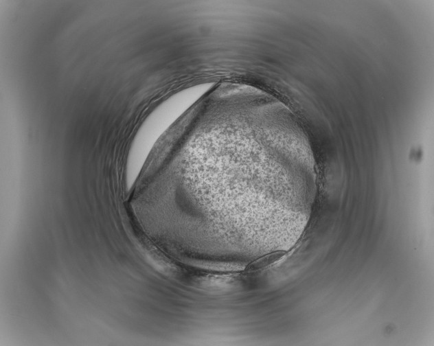 X0000090730086200708101649