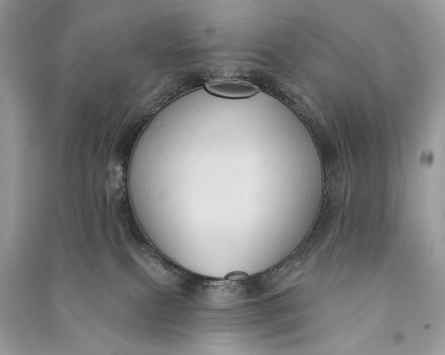 X0000090730087200708101649