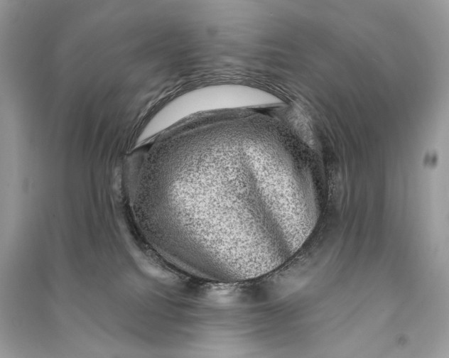 X0000090730088200708101649