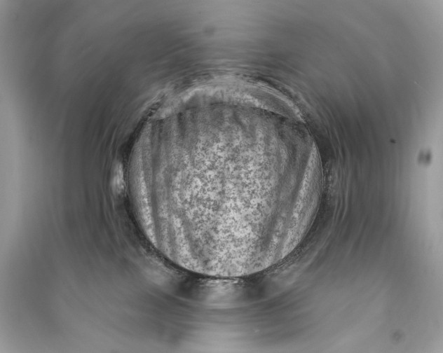 X0000090730089200708101649