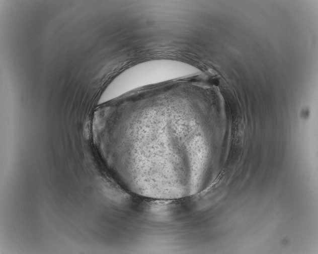 X0000090730090200708101649