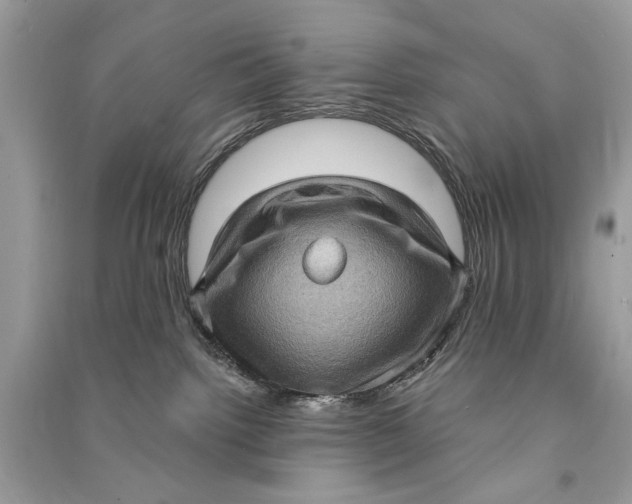 X0000090730092200708101649