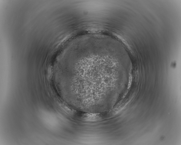 X0000090730093200708101649