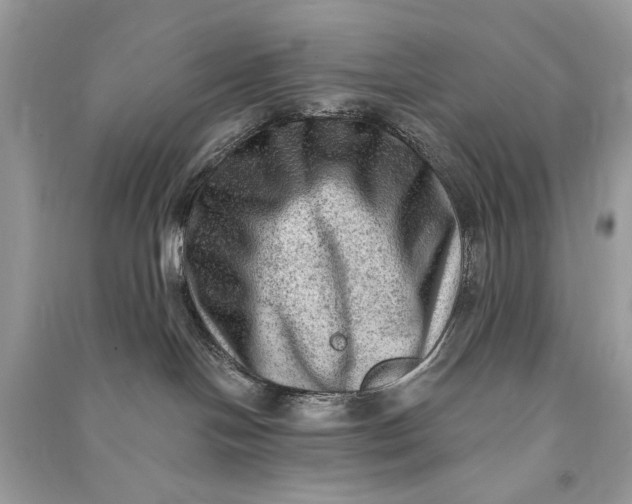 X0000090730094200708101649