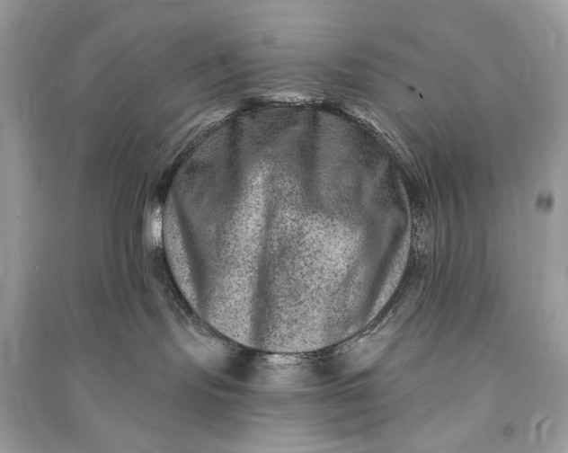 X0000090730095200708101649