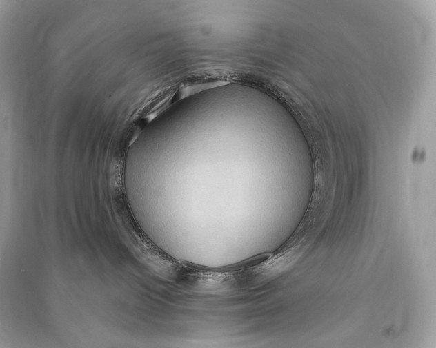 X0000090730096200708101649