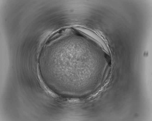 X0000090730097200708101649