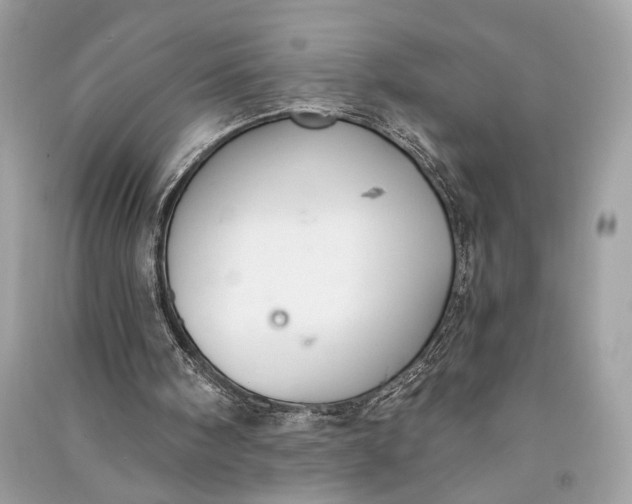 X0000090730098200708101649