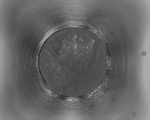 X0000090730099200708101649