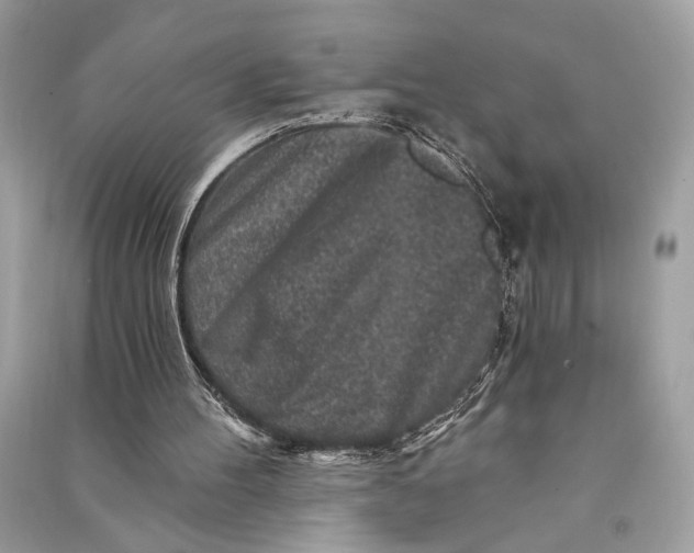 X0000090730100200708101649