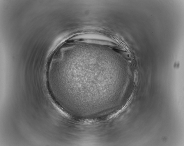 X0000090730101200708101649