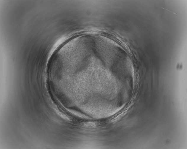 X0000090730102200708101649