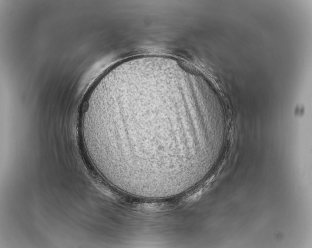 X0000090730103200708101649