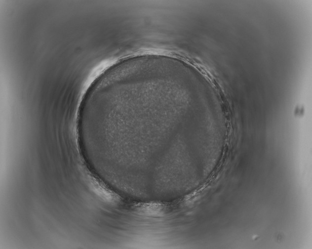 X0000090730104200708101649