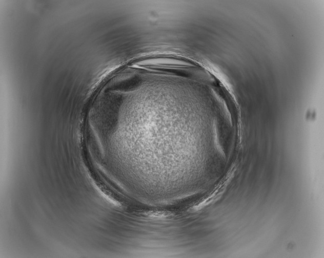 X0000090730105200708101649