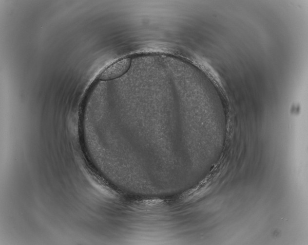 X0000090730108200708101648