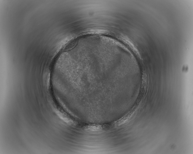 X0000090730110200708101648