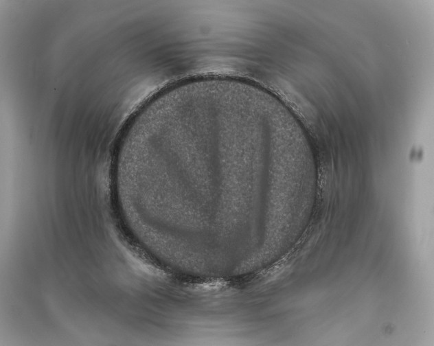 X0000090730112200708101648