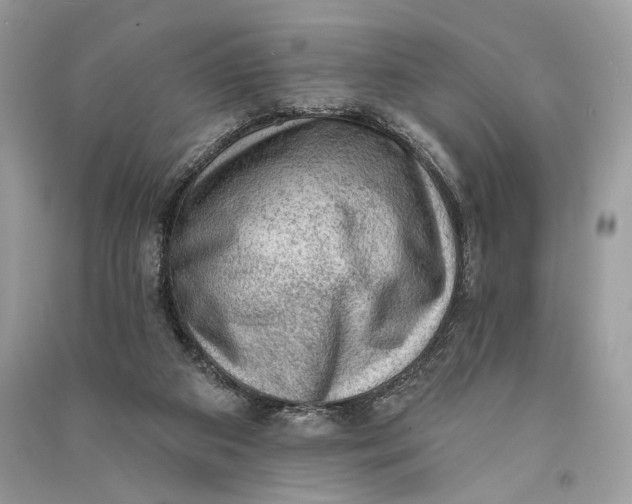 X0000090730113200708101648