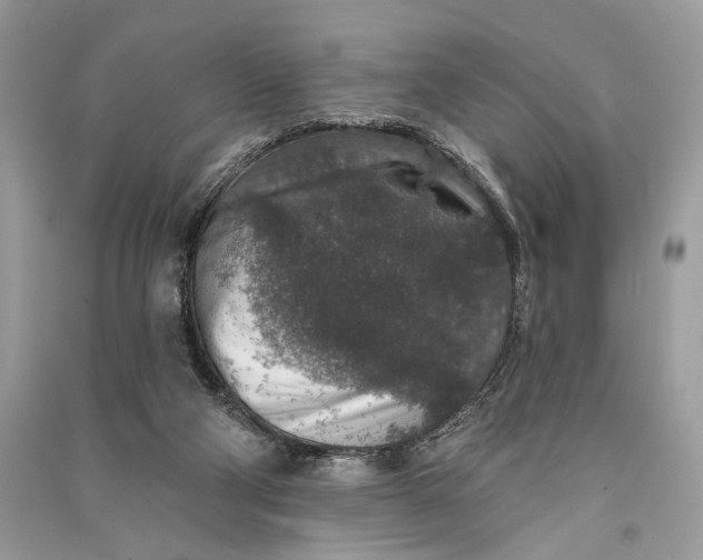 X0000090730114200708101648