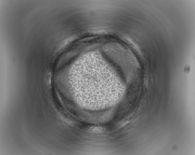 X0000090730115200708101648