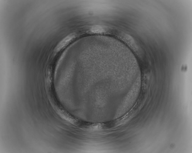 X0000090730116200708101648