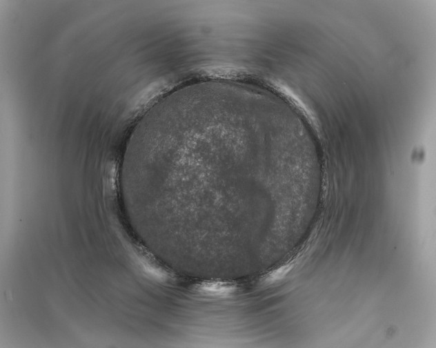 X0000090730117200708101648