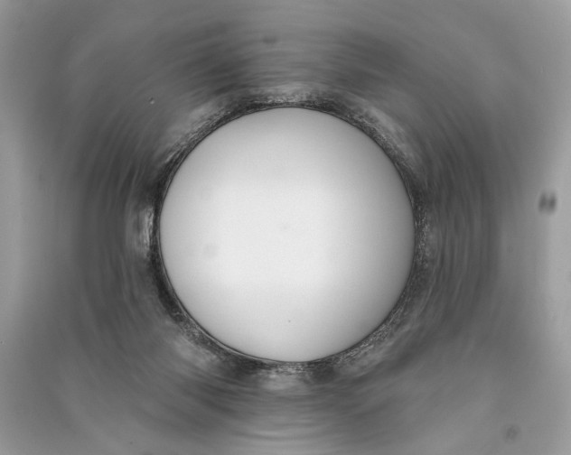 X0000090730118200708101648