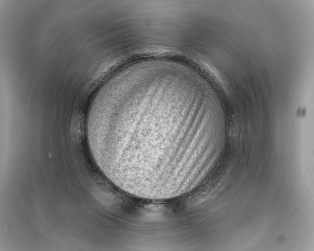 X0000090730119200708101648