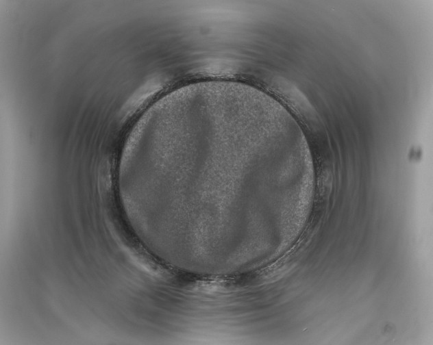 X0000090730120200708101648