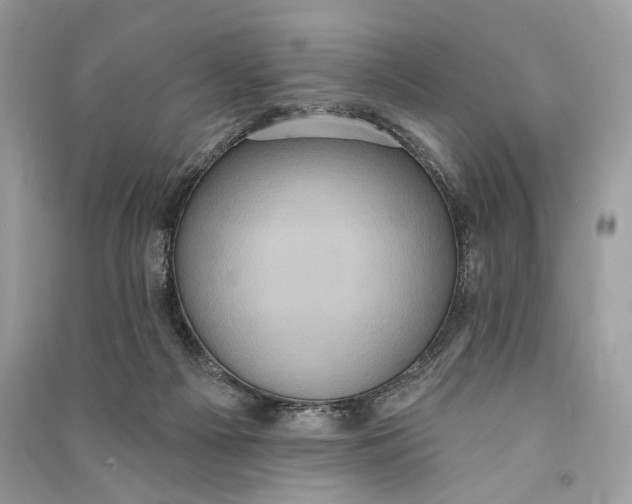 X0000090730121200708101648