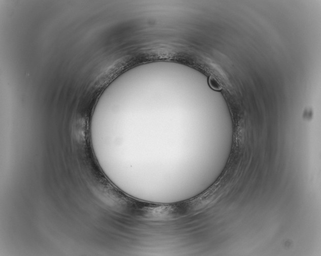 X0000090730122200708101648