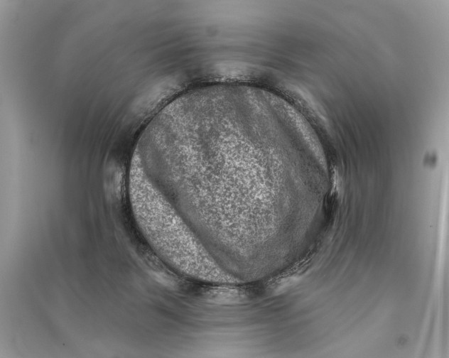 X0000090730123200708101648