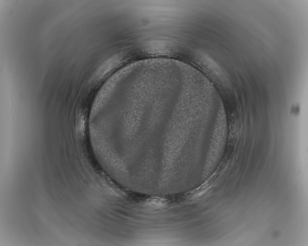 X0000090730124200708101648