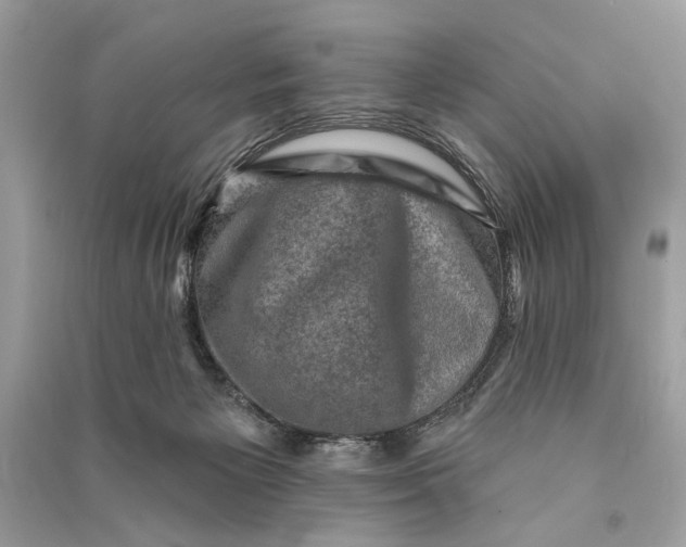 X0000090730125200708101648