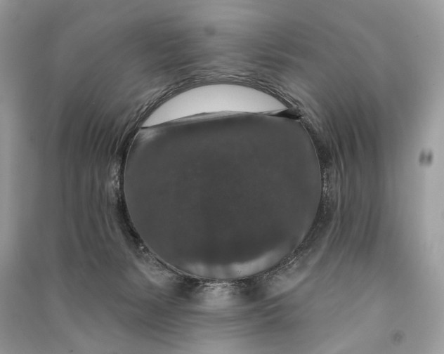 X0000090730127200708101648