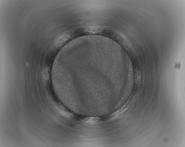 X0000090730128200708101648