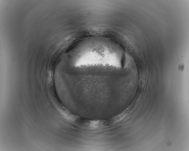 X0000090730130200708101648