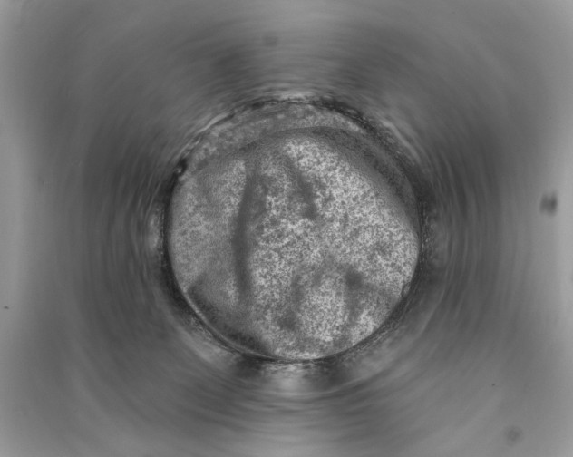 X0000090730131200708101648