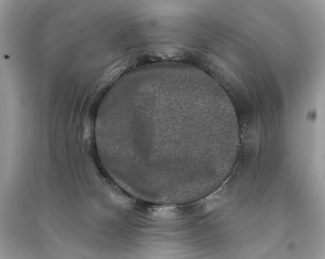 X0000090730132200708101648