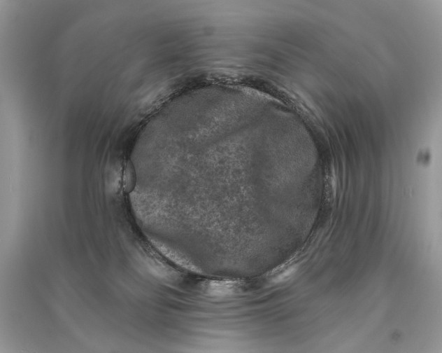 X0000090730134200708101648