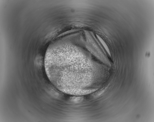 X0000090730135200708101648