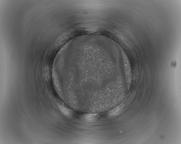 X0000090730136200708101648