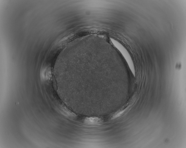 X0000090730137200708101648