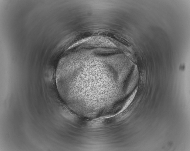 X0000090730138200708101648