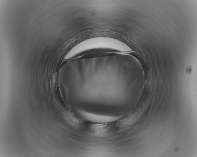 X0000090730139200708101648