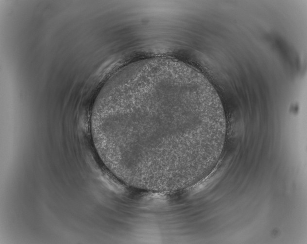 X0000090730140200708101648