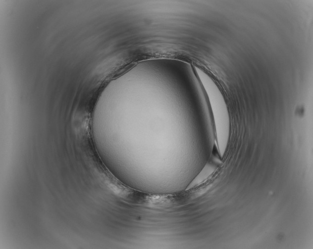 X0000090730141200708101648