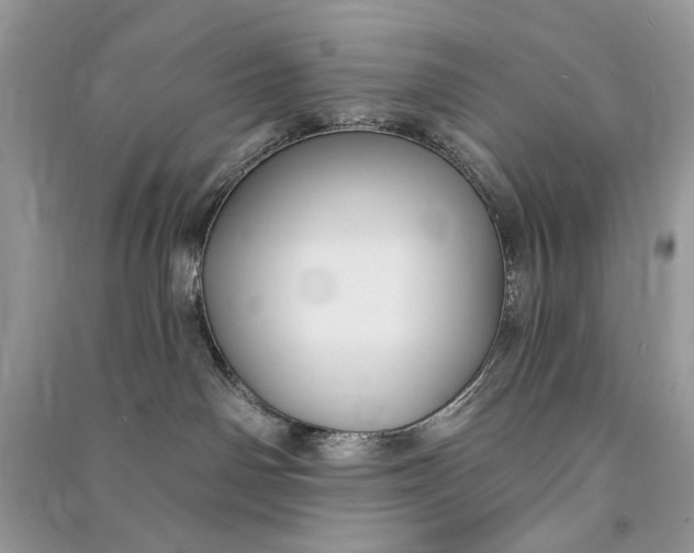 X0000090730142200708101648